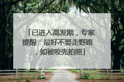 已进入高发期，专家提醒：最好不要走野路，如被咬先拍照