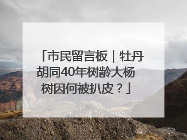 市民留言板｜牡丹胡同40年树龄大杨树因何被扒皮？