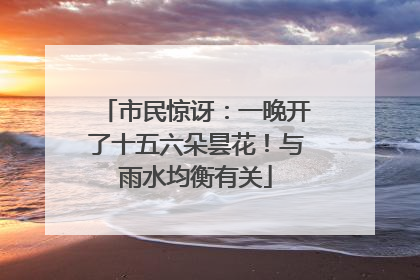 市民惊讶：一晚开了十五六朵昙花！与雨水均衡有关
