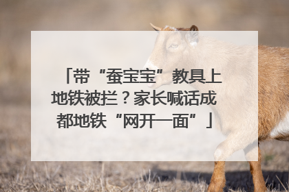 带“蚕宝宝”教具上地铁被拦？家长喊话成都地铁“网开一面”