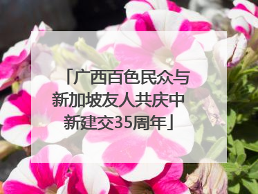 广西百色民众与新加坡友人共庆中新建交35周年