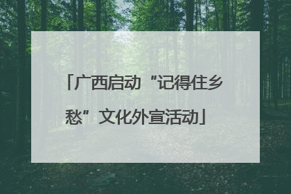 广西启动“记得住乡愁”文化外宣活动