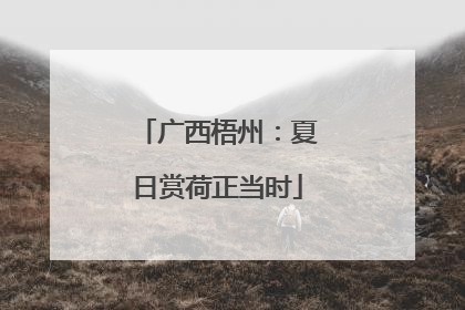 广西梧州：夏日赏荷正当时