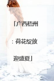 广西梧州：荷花绽放迎盛夏