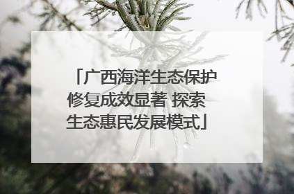 广西海洋生态保护修复成效显著 探索生态惠民发展模式