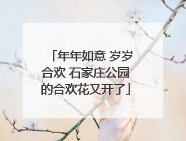 年年如意 岁岁合欢 石家庄公园的合欢花又开了