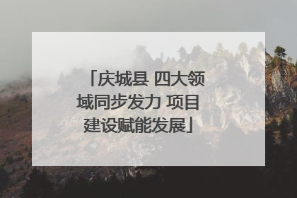 庆城县 四大领域同步发力 项目建设赋能发展