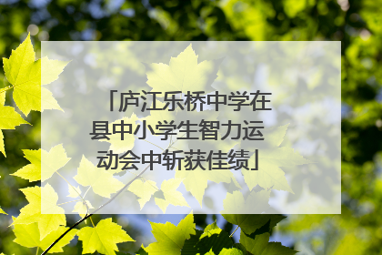 庐江乐桥中学在县中小学生智力运动会中斩获佳绩