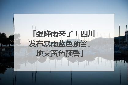 强降雨来了！四川发布暴雨蓝色预警、地灾黄色预警