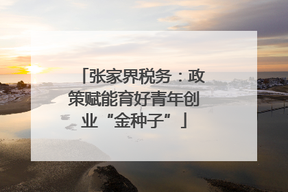 张家界税务：政策赋能育好青年创业“金种子”