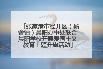 张家港市经开区（杨舍镇）晨阳办事处联合晨阳学校开展爱国主义教育主题升旗活动