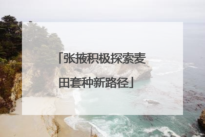 张掖积极探索麦田套种新路径