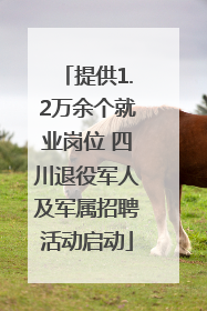 提供1.2万余个就业岗位 四川退役军人及军属招聘活动启动