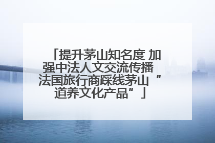 提升茅山知名度 加强中法人文交流传播 法国旅行商踩线茅山“道养文化产品”