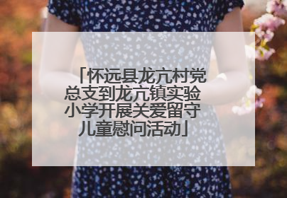 怀远县龙亢村党总支到龙亢镇实验小学开展关爱留守儿童慰问活动