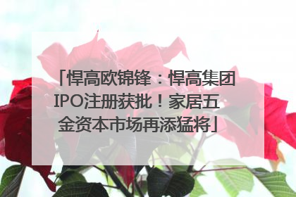 悍高欧锦锋：悍高集团IPO注册获批！家居五金资本市场再添猛将