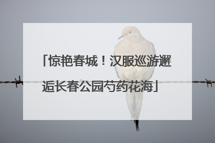 惊艳春城！汉服巡游邂逅长春公园芍药花海