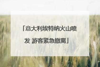 意大利埃特纳火山喷发 游客紧急撤离