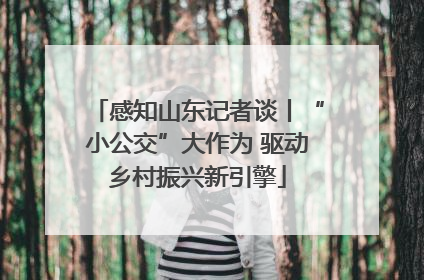 感知山东记者谈丨“小公交”大作为 驱动乡村振兴新引擎