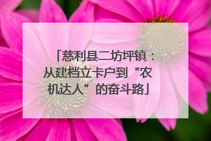 慈利县二坊坪镇：从建档立卡户到“农机达人”的奋斗路