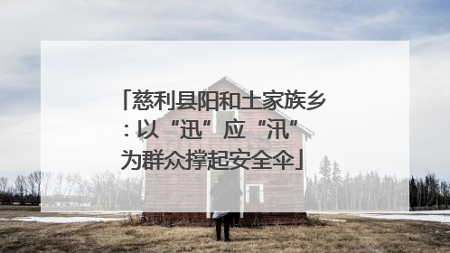 慈利县阳和土家族乡：以“迅”应“汛” 为群众撑起安全伞