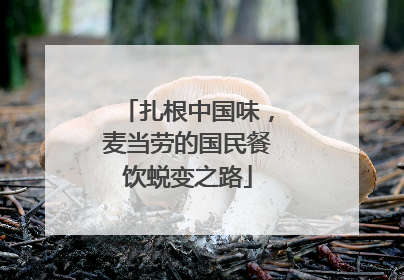 扎根中国味，麦当劳的国民餐饮蜕变之路