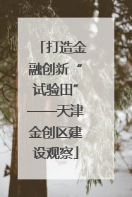 打造金融创新“试验田”——天津金创区建设观察