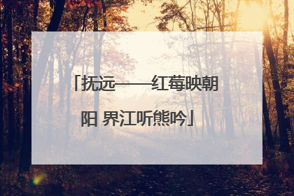 抚远——红莓映朝阳 界江听熊吟