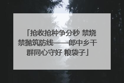 抢收抢种争分秒 禁烧禁抛筑防线——郎中乡干群同心守好 粮袋子