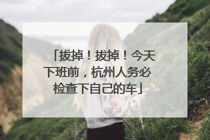 拔掉！拔掉！今天下班前，杭州人务必检查下自己的车