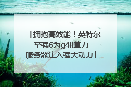 拥抱高效能！英特尔至强6为g4il算力服务器注入强大动力