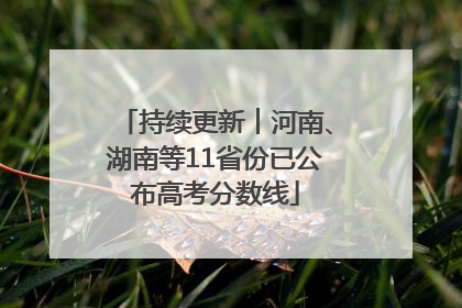 持续更新︱河南、湖南等11省份已公布高考分数线