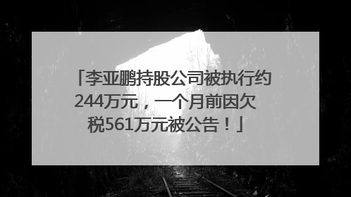 李亚鹏持股公司被执行约244万元，一个月前因欠税561万元被公告！
