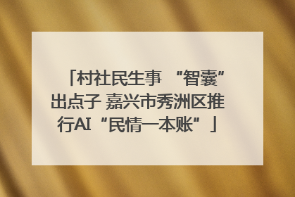 村社民生事 “智囊”出点子 嘉兴市秀洲区推行AI“民情一本账”