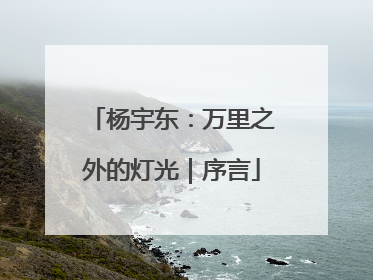 杨宇东：万里之外的灯光｜序言