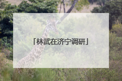 林武在济宁调研