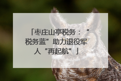 枣庄山亭税务：“税务蓝”助力退役军人“再起航”