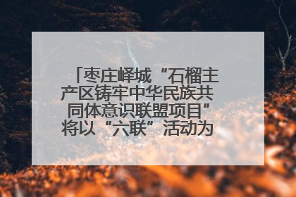 枣庄峄城“石榴主产区铸牢中华民族共同体意识联盟项目”将以“六联”活动为抓手深化品牌建设