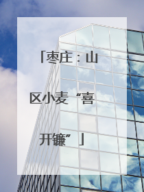 枣庄：山区小麦“喜开镰”