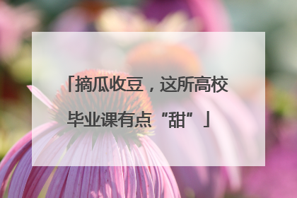 摘瓜收豆，这所高校毕业课有点“甜”