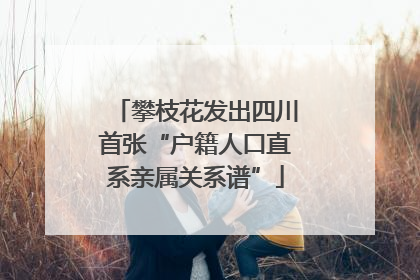 攀枝花发出四川首张“户籍人口直系亲属关系谱”