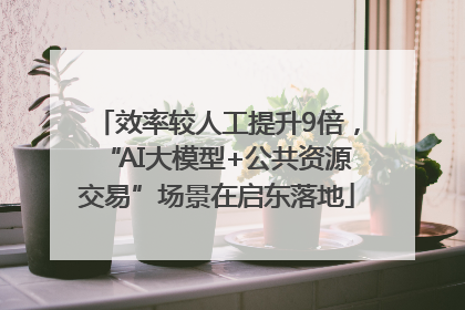 效率较人工提升9倍，“AI大模型+公共资源交易”场景在启东落地