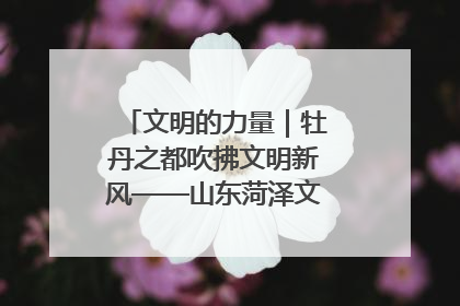 文明的力量｜牡丹之都吹拂文明新风——山东菏泽文明创建一线见闻