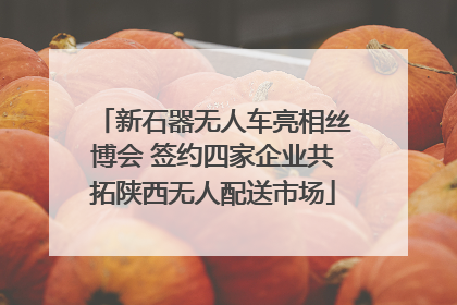 新石器无人车亮相丝博会 签约四家企业共拓陕西无人配送市场