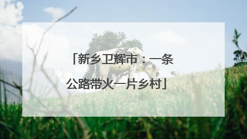 新乡卫辉市：一条公路带火一片乡村