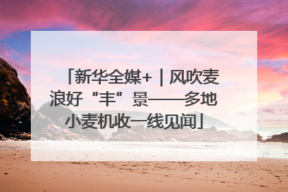 新华全媒+｜风吹麦浪好“丰”景——多地小麦机收一线见闻