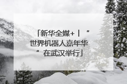 新华全媒+丨“世界机器人嘉年华”在武汉举行