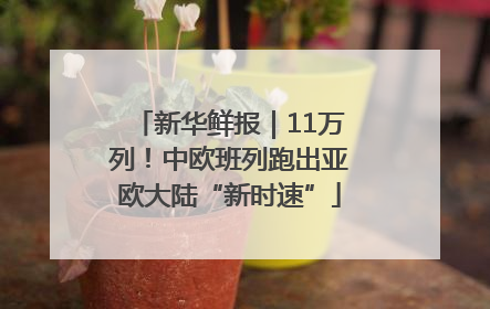 新华鲜报｜11万列！中欧班列跑出亚欧大陆“新时速”
