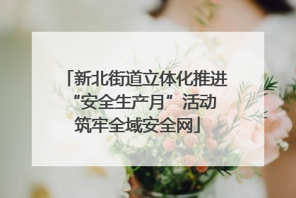 新北街道立体化推进“安全生产月”活动 筑牢全域安全网