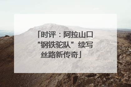 时评：阿拉山口“钢铁驼队”续写丝路新传奇